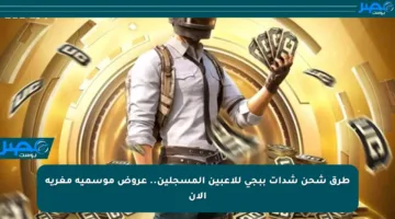 طرق شحن شدات ببجي للاعبين المسجلين.. عروض موسمية مغرية الآن